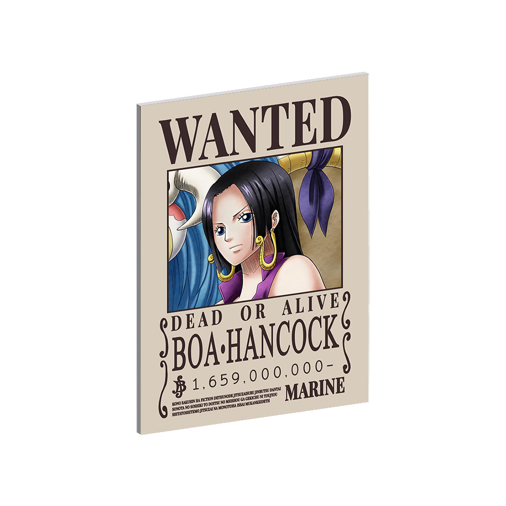 Custom Collection - One Piece Wanted Posters Metal Wall Art
