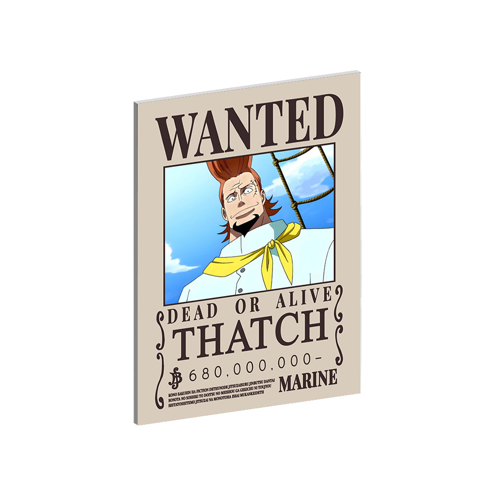 Custom Collection - One Piece Wanted Posters Metal Wall Art