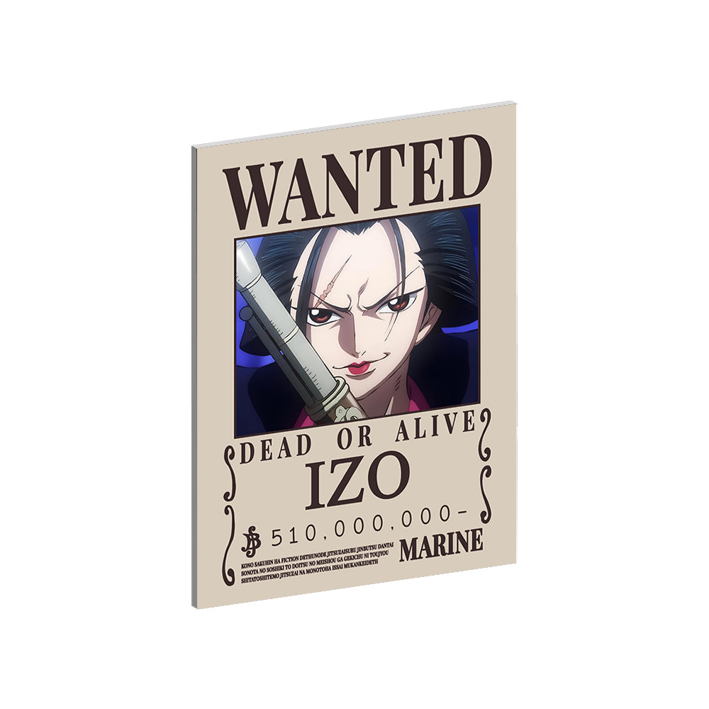 Custom Collection - One Piece Wanted Posters Metal Wall Art